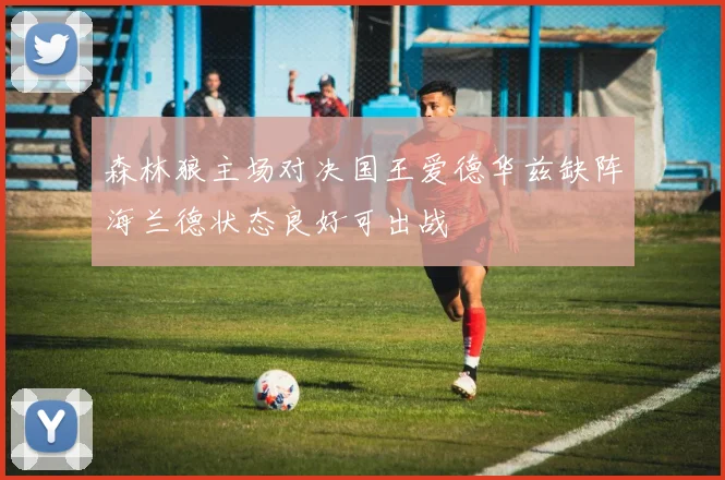 森林狼主场对决国王爱德华兹缺阵海兰德状态良好可出战