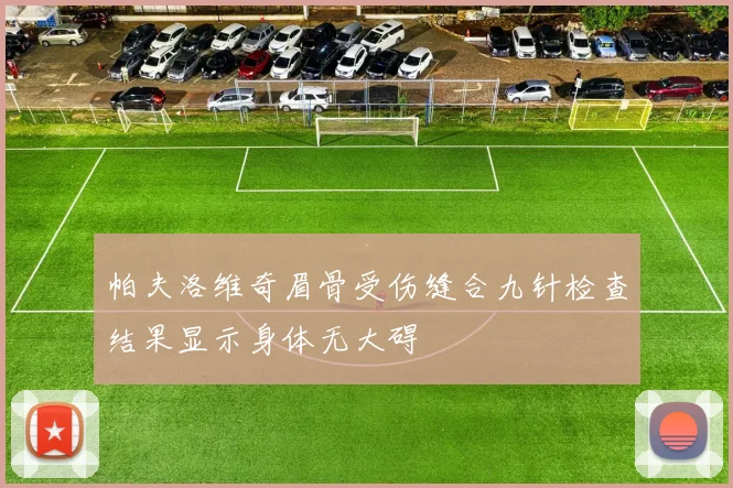 帕夫洛维奇眉骨受伤缝合九针检查结果显示身体无大碍