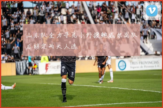 山东队全力寻觅小外援鲍威尔离队后锁定两大人选