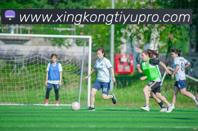 多媒体互动体验